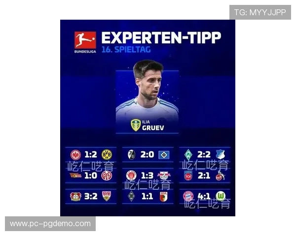 德甲国内媒体收入突破11亿欧元，转播合作覆盖小红书与新球体育