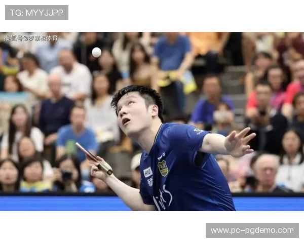 德甲联赛战至第17轮，樊振东出战萨尔布吕肯春节前最后一场比赛